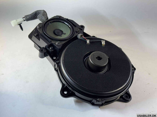 GM 10447355 Speaker Assembly, Radio Front