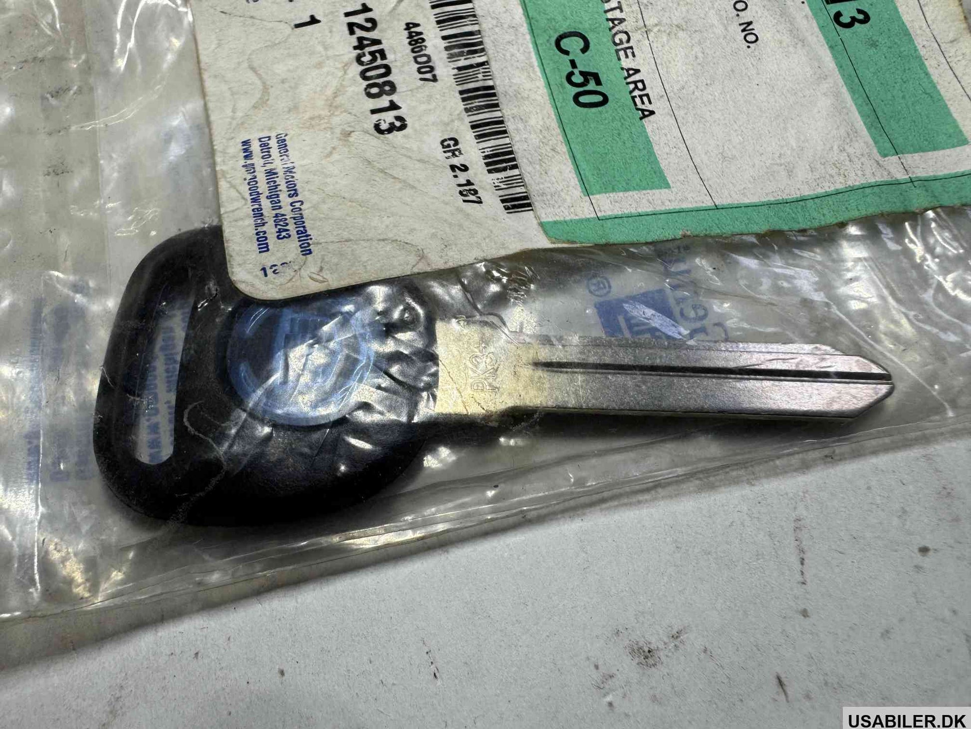 GM 12450813 Key