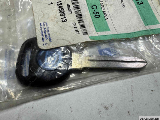 GM 12450813 Key