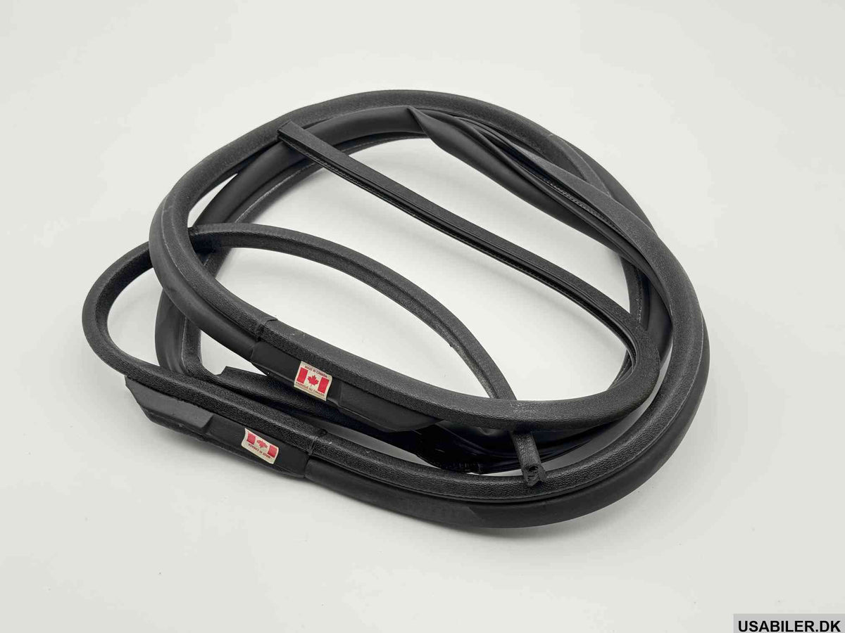 GM 15996652 Weatherstrip Assembly