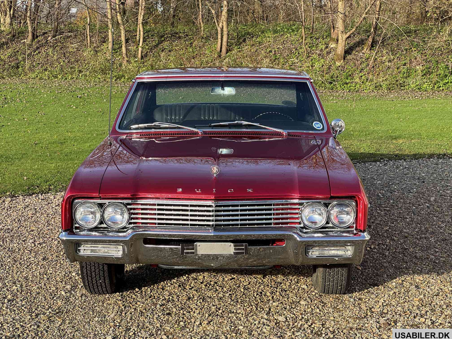 Buick Skylark 1965