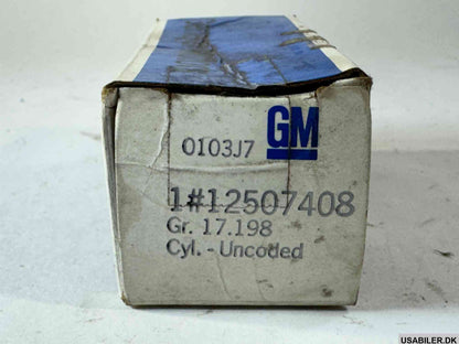 GM 12507408 Cylinder Kit,End Gate Lock