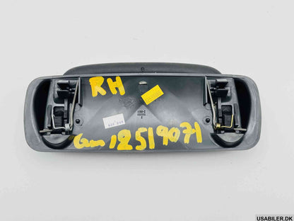 GM 12519071 Handle Assembly, Roof Rail Front Asst