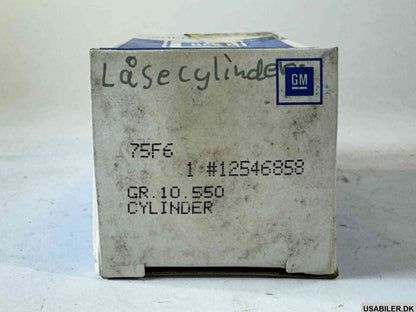 GM 12546858 Cylinder,Front Side Door Lock