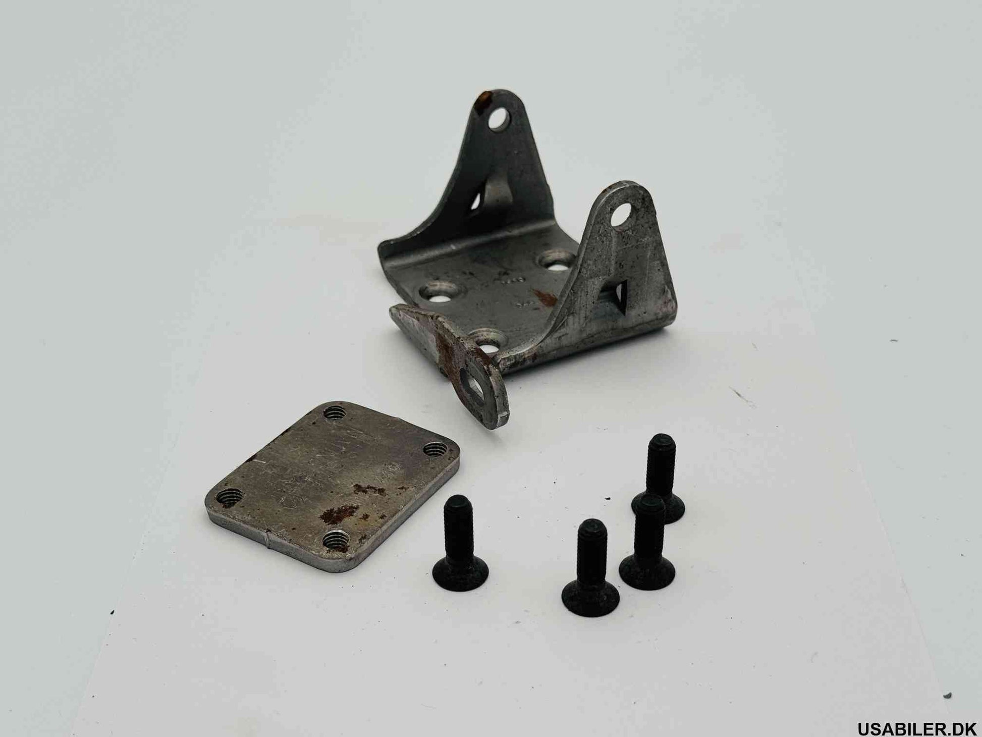 GM 15981550 Hinge Kit, Front Side Door Lower Body Side