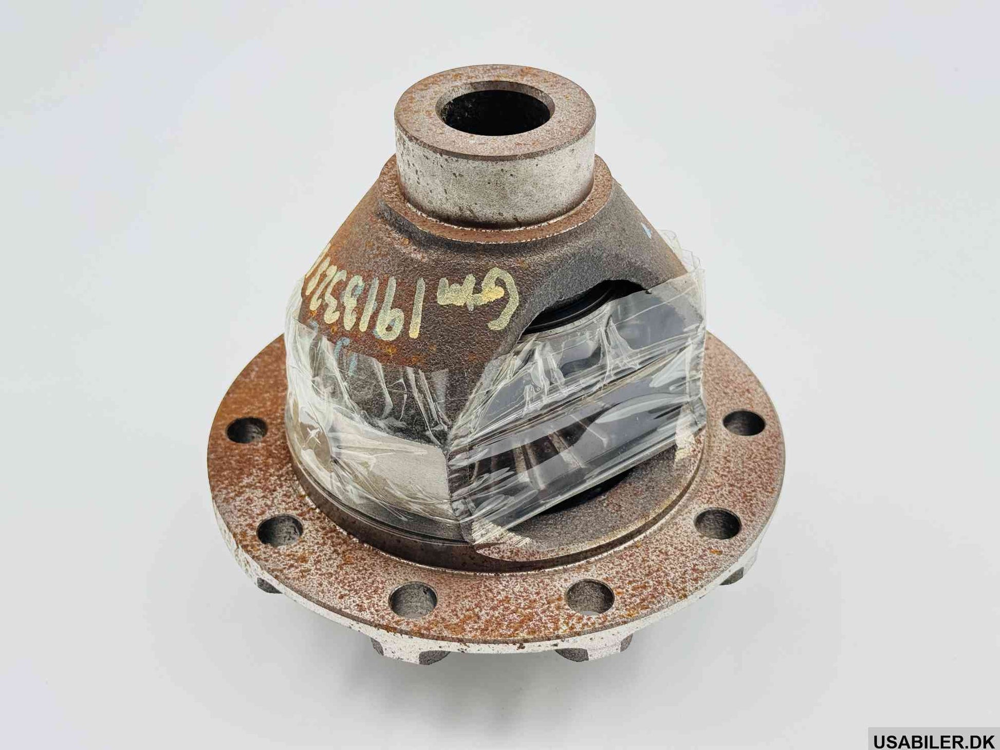 GM 19133286 Differential Assembly