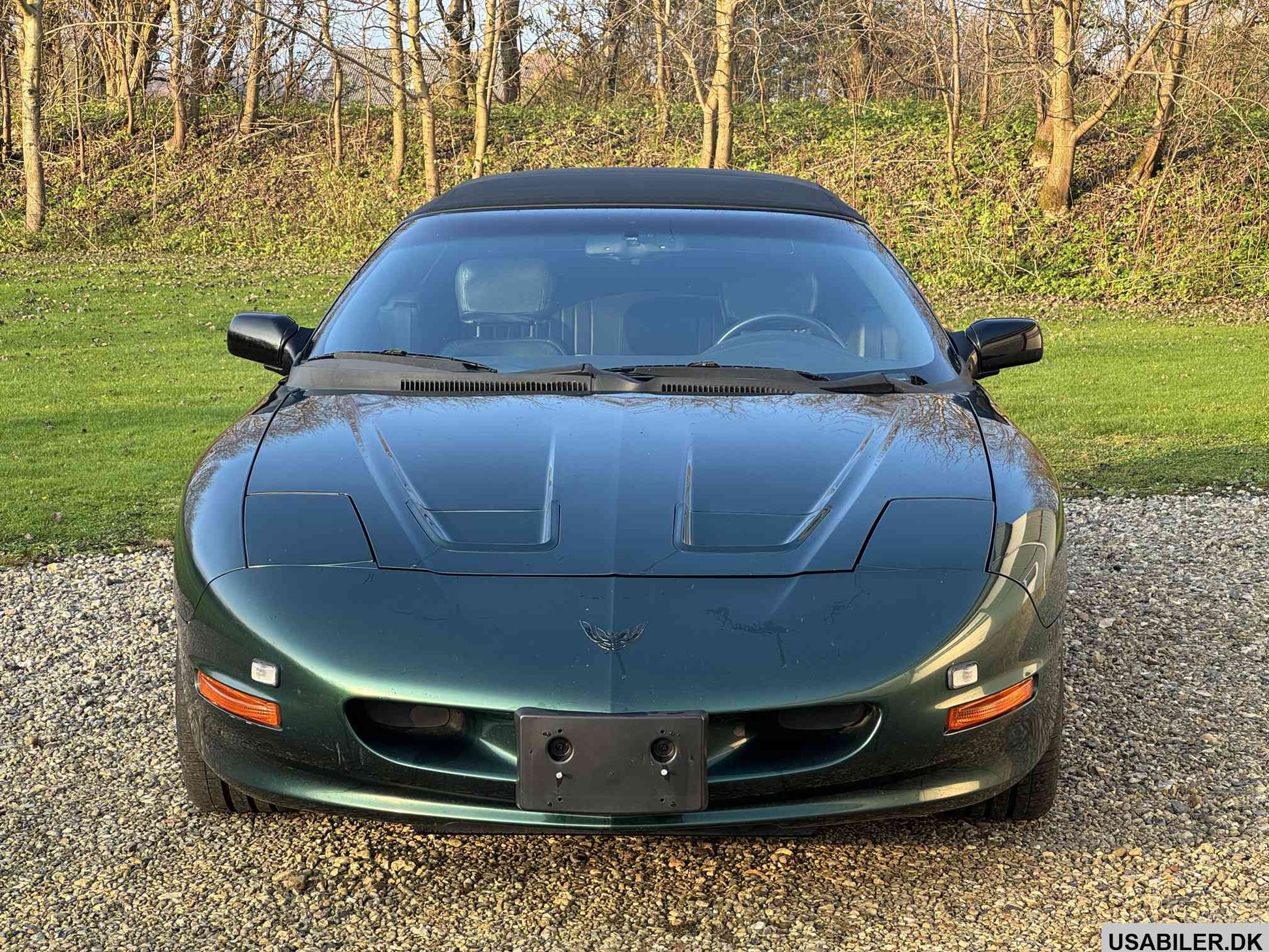 Pontiac Firebird 1995