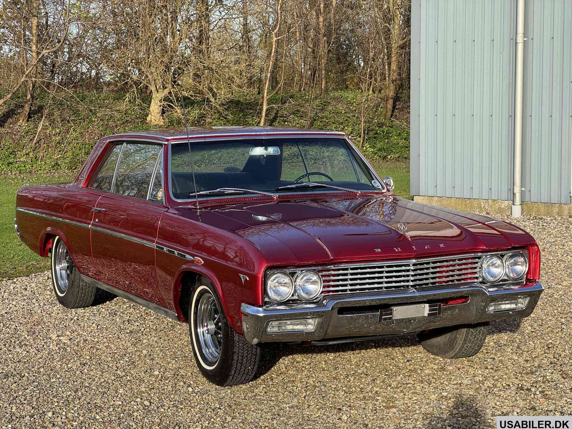 Buick Skylark 1965