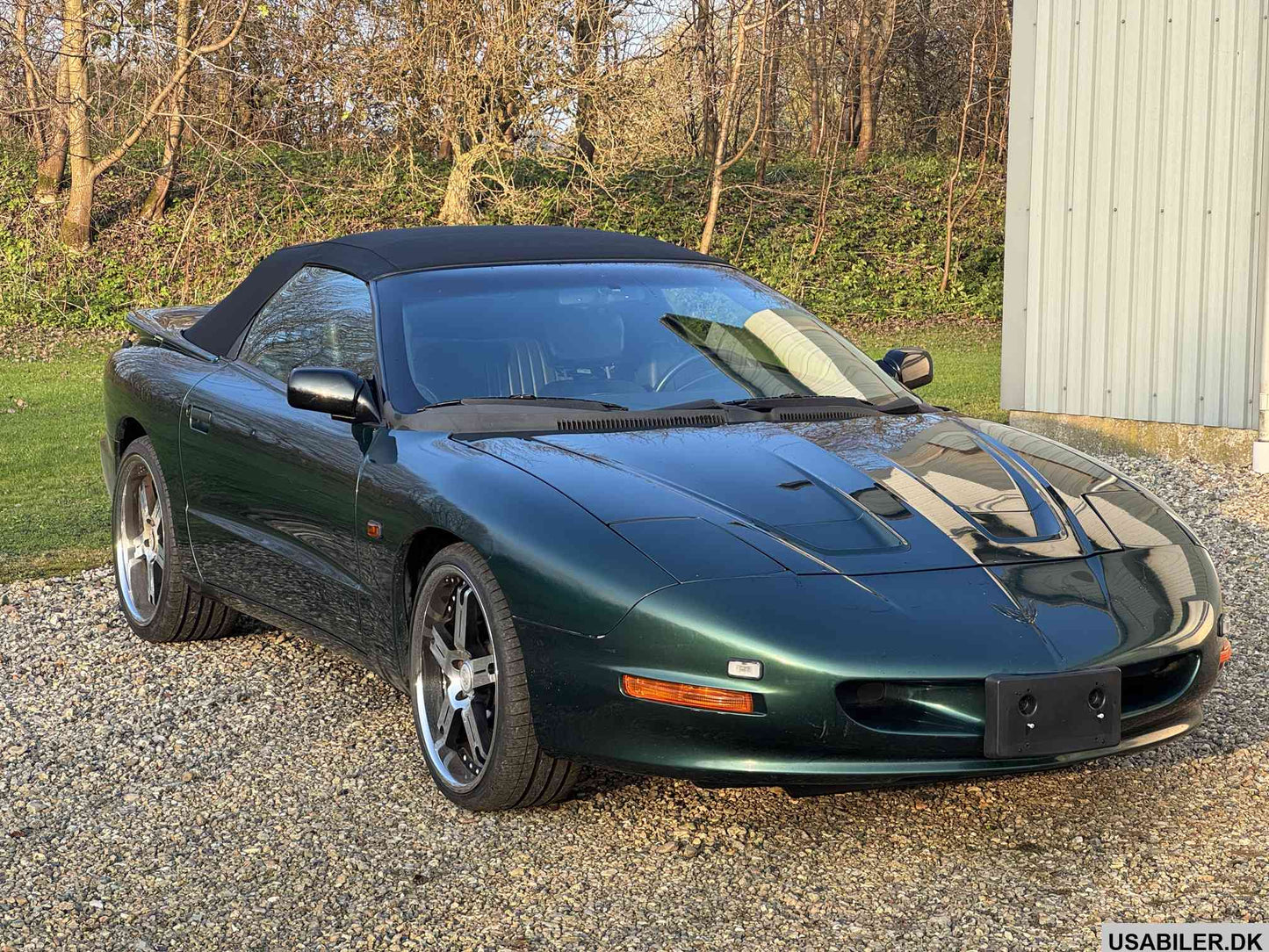Pontiac Firebird 1995