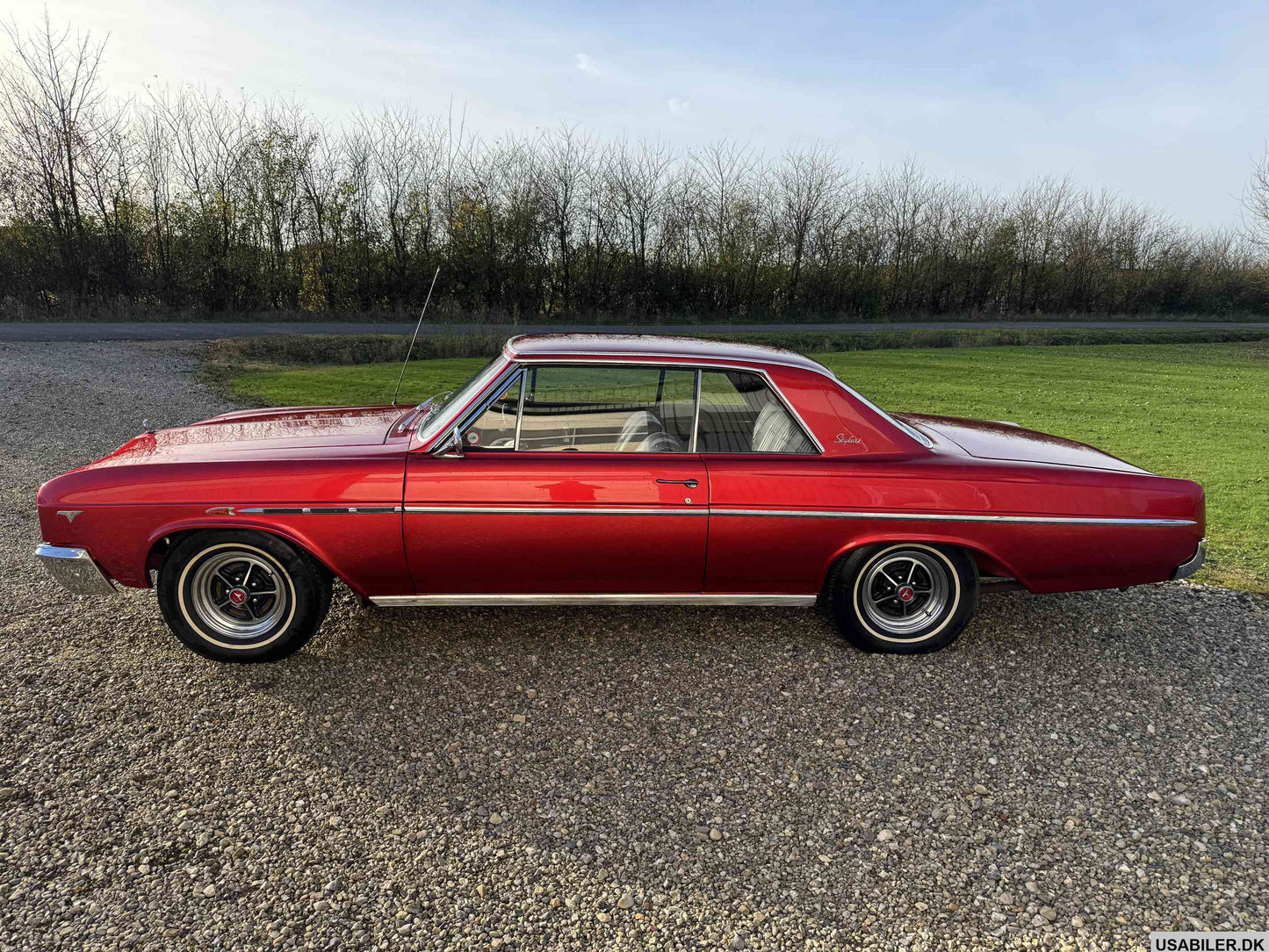Buick Skylark 1965