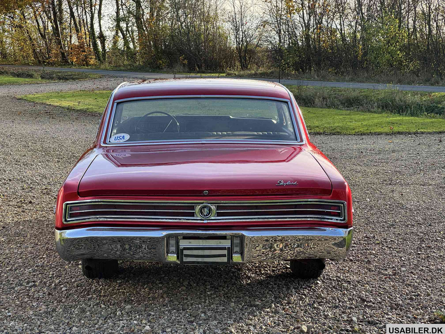 Buick Skylark 1965