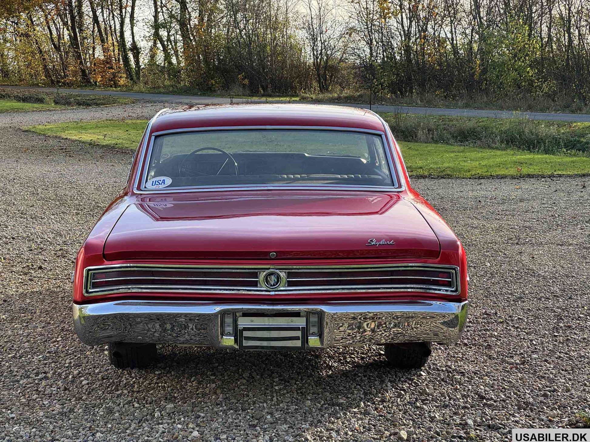 Buick Skylark 1965